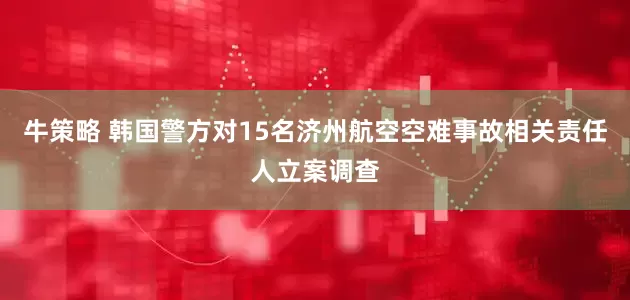 牛策略 韩国警方对15名济州航空空难事故相关责任人立案调查