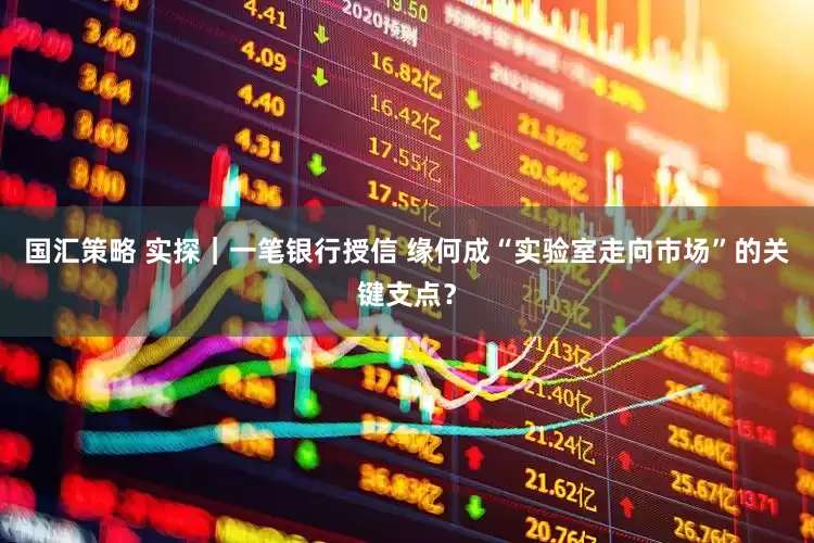国汇策略 实探｜一笔银行授信 缘何成“实验室走向市场”的关键支点？