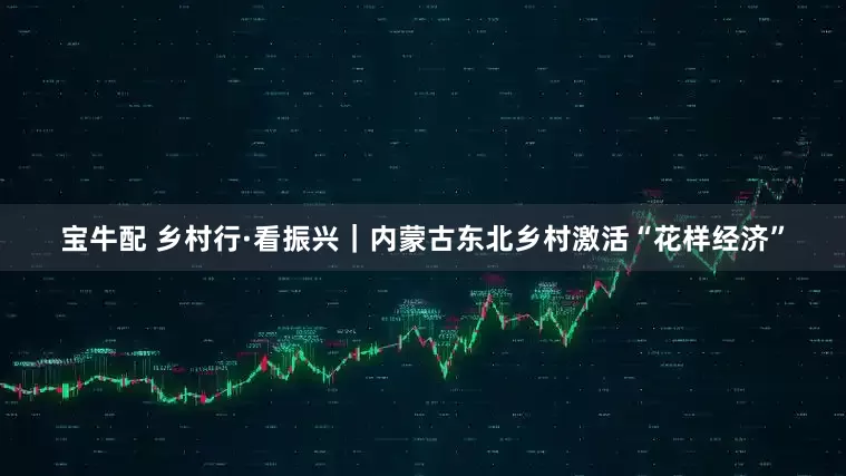 宝牛配 乡村行·看振兴｜内蒙古东北乡村激活“花样经济”
