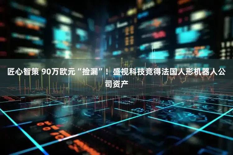 匠心智策 90万欧元“捡漏”！盛视科技竞得法国人形机器人公司资产