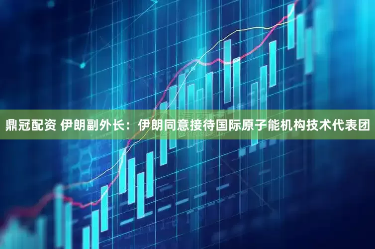 鼎冠配资 伊朗副外长：伊朗同意接待国际原子能机构技术代表团