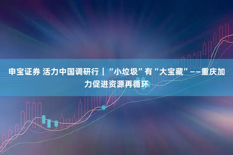 申宝证券 活力中国调研行｜“小垃圾”有“大宝藏”——重庆加力促进资源再循环