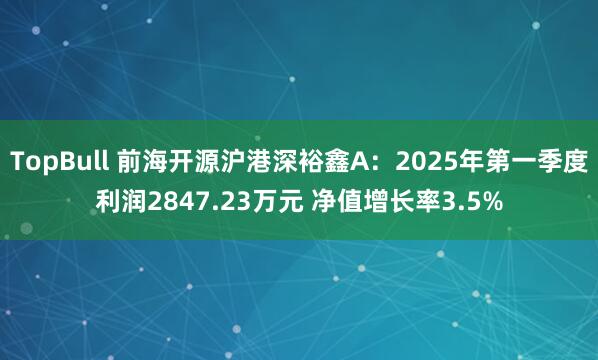 TopBull 前海开源沪港深裕鑫A：2025年第一季度利润2847.23万元 净值增长率3.5%
