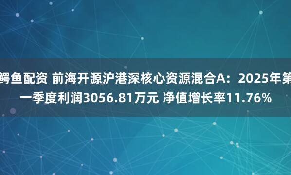 鳄鱼配资 前海开源沪港深核心资源混合A：2025年第一季度利润3056.81万元 净值增长率11.76%