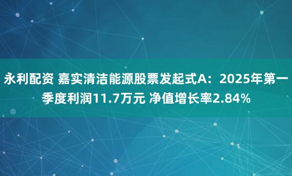 永利配资 嘉实清洁能源股票发起式A:2025年第一季度利润11.7万元 净值增长率2.84%