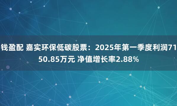钱盈配 嘉实环保低碳股票：2025年第一季度利润7150.85万元 净值增长率2.88%