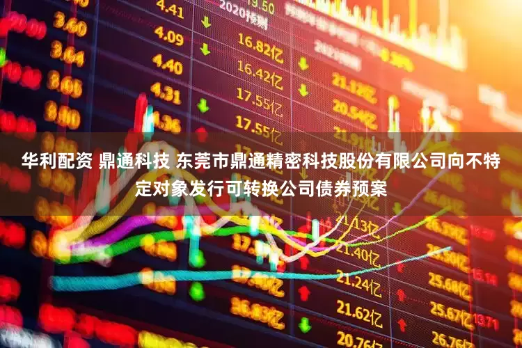 华利配资 鼎通科技 东莞市鼎通精密科技股份有限公司向不特定对象发行可转换公司债券预案