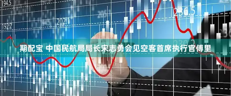 期配宝 中国民航局局长宋志勇会见空客首席执行官傅里